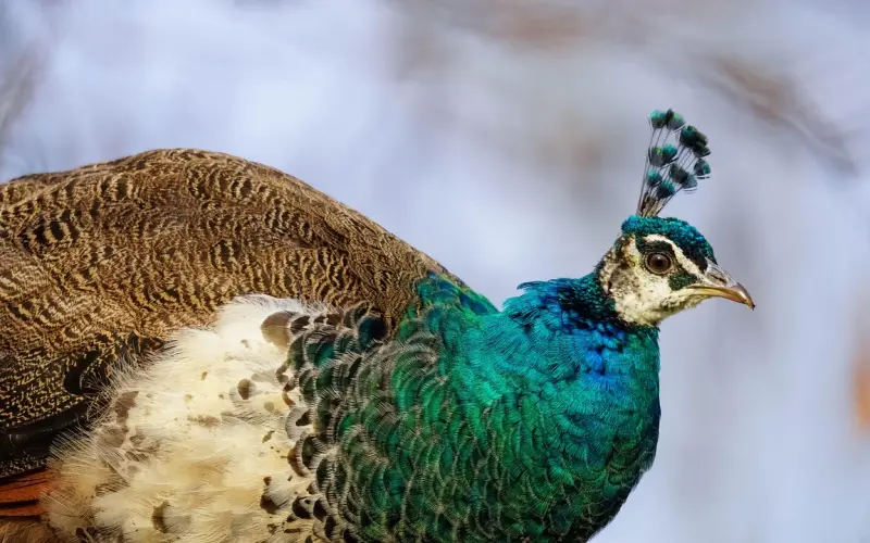 教你相亲如何完美掳获女方芳心