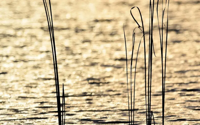 教你如何快速和解-挽回前任