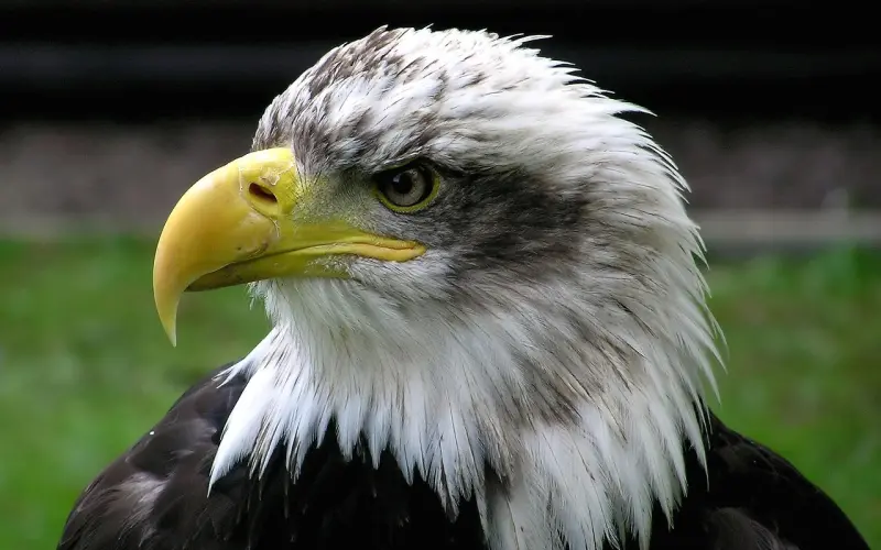 教你如何拍出高逼格的照片！