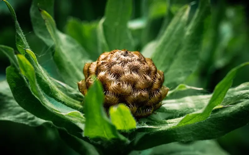 教你用对爱情心理学，感情就会坚如磐石。