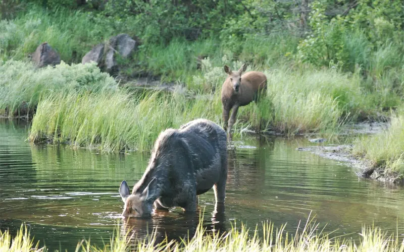 手把手教你找到完美情人