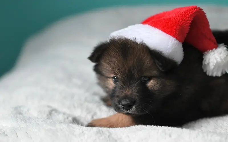 手把手教你让对方更愿意陪伴你