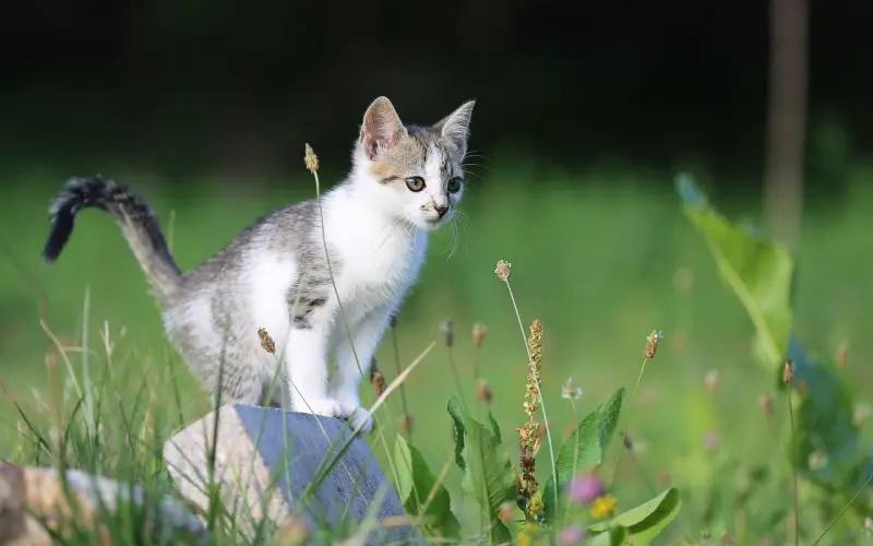教你勾起女生的好奇心，你的邀约才不会被她拒绝