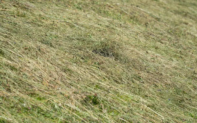 十条干货教你变成吸引力龙卷风