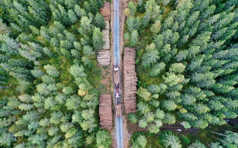 测测：一秒测出你的多面个性！