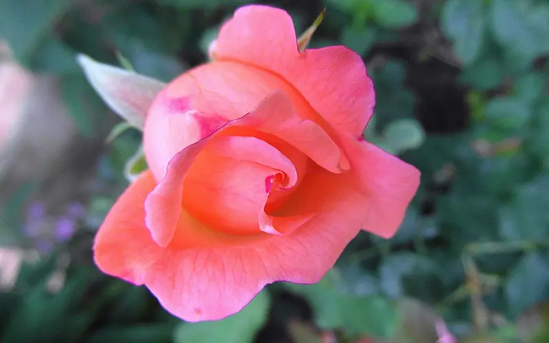 测试你的性格类型，了解你与爱人的相处模式