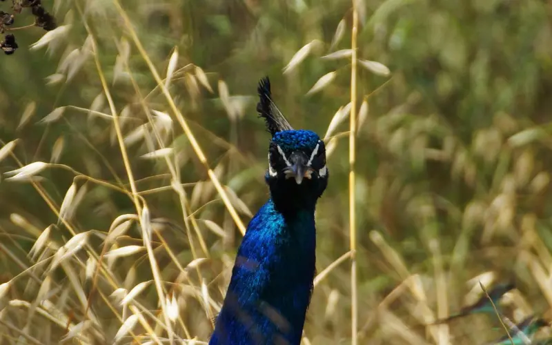 他在不在乎你，就看这一点