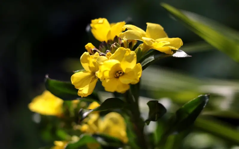 挽回爱情最不应该做的2件事情 忍住你就赢了