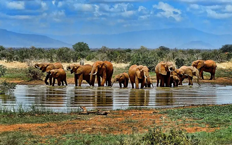 挽回爱情的死穴——控制欲合理化