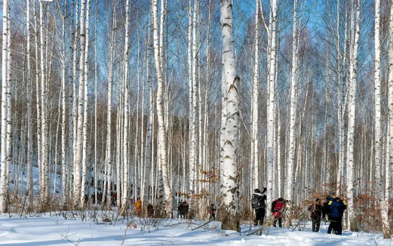 婚姻最好的模样：我们在一起，你还是原来的你