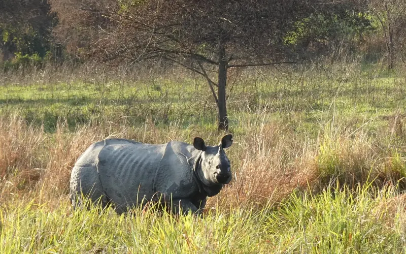 挽回男友最佳时机，分手挽回爱情聊天技巧