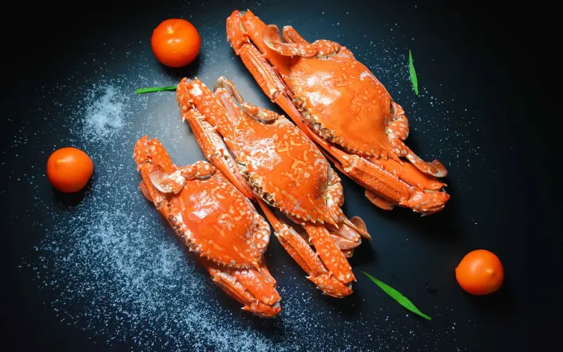 挽回爱情全攻略，如何挽回巨蟹座的心