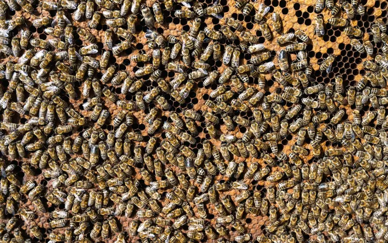 挽回爱情断联的正确用法