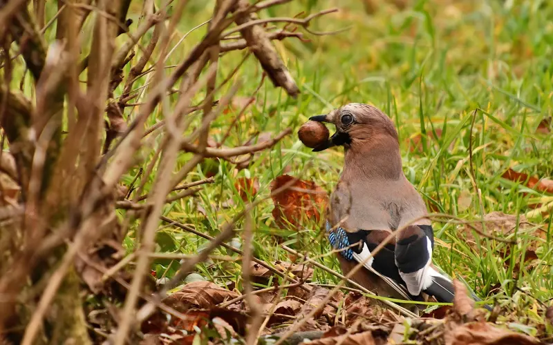 女生不会明说的择偶标准