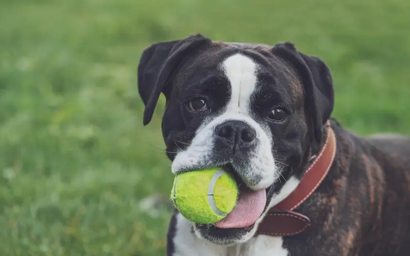 你阴历几日生，就已注定你一生的命运！很准！