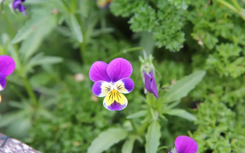 思想成熟的男生VS思想不成熟男生的区别