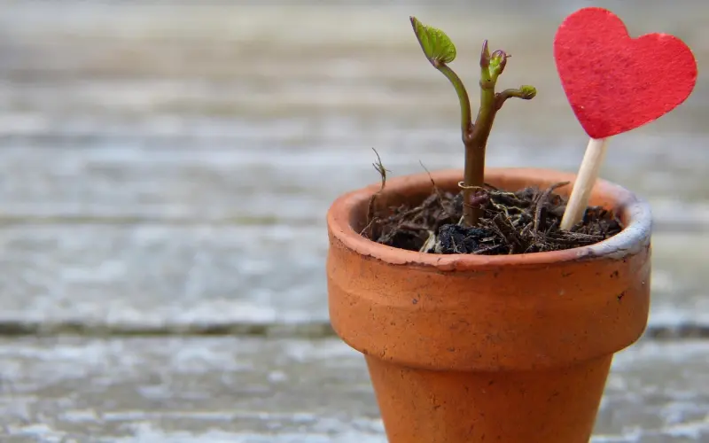 感情一开始的方向错了，怎么努力都白费