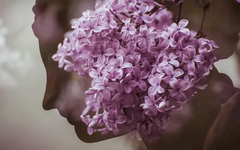 田园女权的双重标准