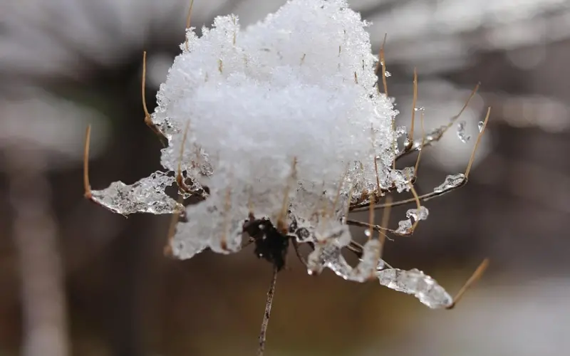 这个睁眼瞎的女人，小编已经取不到标题来形容了！！！