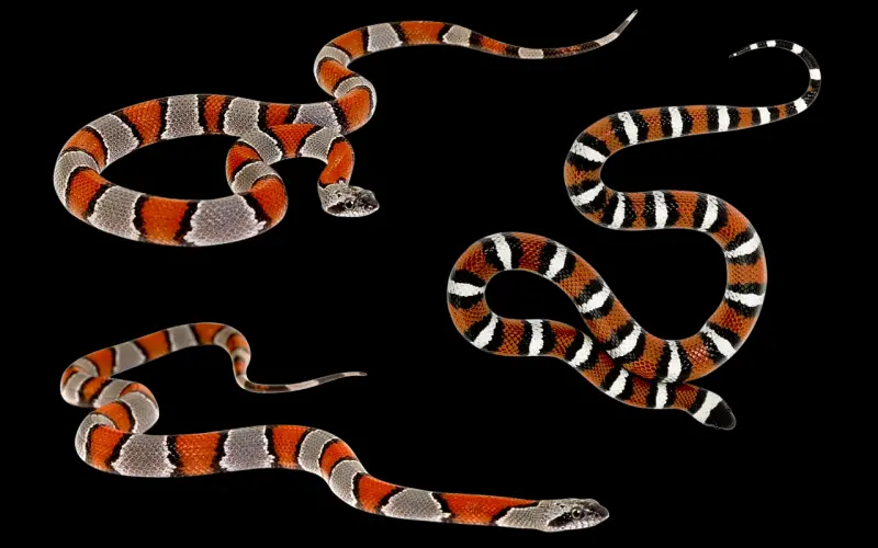 追女生的致命错误 犯了就进她黑名单