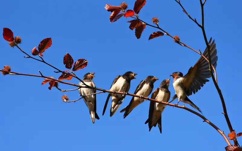 挽回五阶段之四，不要让你的爱变成一种负担