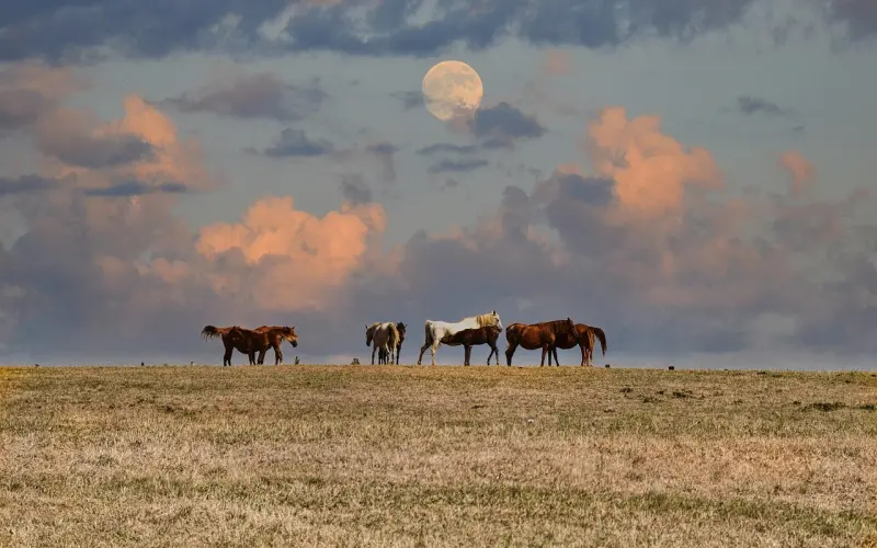 和妹子聊了一个月还是约不出来的根本原因