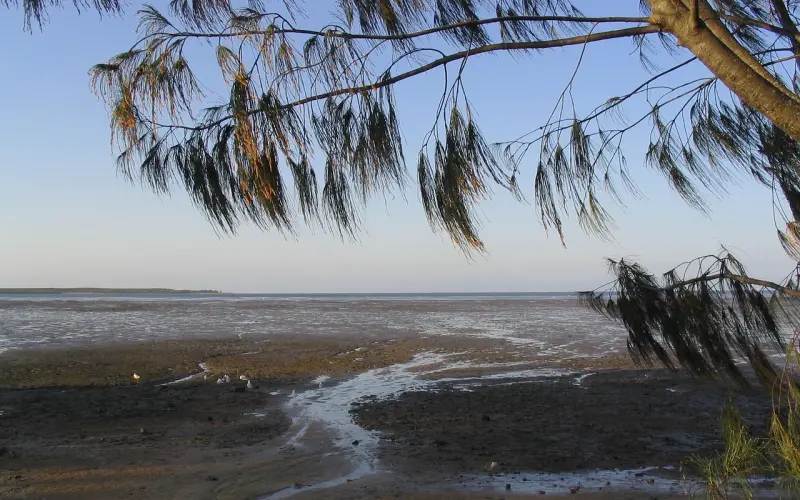 女神要我跪舔她，怎么办？一招让她倒追你！