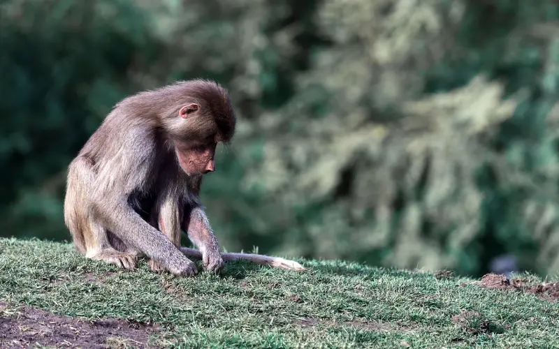 婚姻中最大的智慧，就是让彼此有存在感