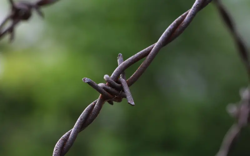 异性友谊的最高境界！