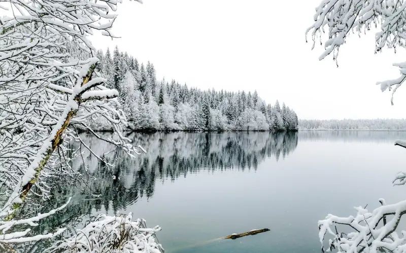 意见分歧时老公总是护着婆婆，妻子该怎么做？