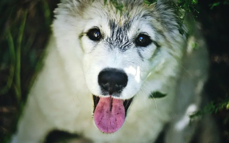 男人最想要的生活，就在这23张图里面。