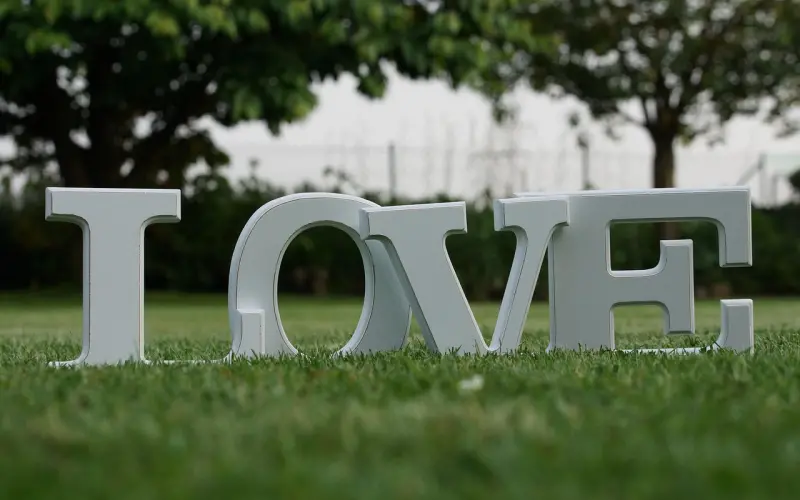 最爱我的那个男人，从来不说我爱你