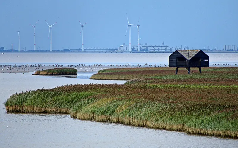 挽回女友的雷区，看看你踩了几个？