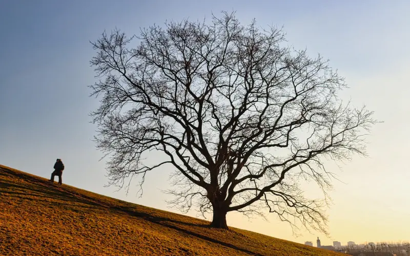 男人以下三个方面越“坏”，女人越是喜欢你，特别是第三个