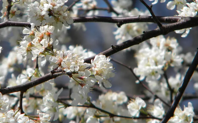 女人在这三个方面越“狠”，男人会越爱你，朝思暮想