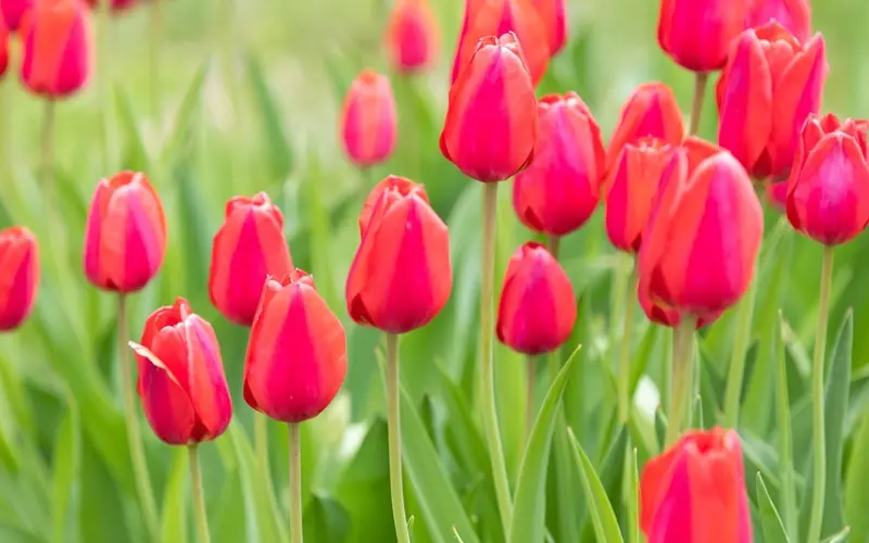 女人越大气，越幸福！