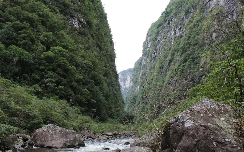 越缺爱越没人爱？不！