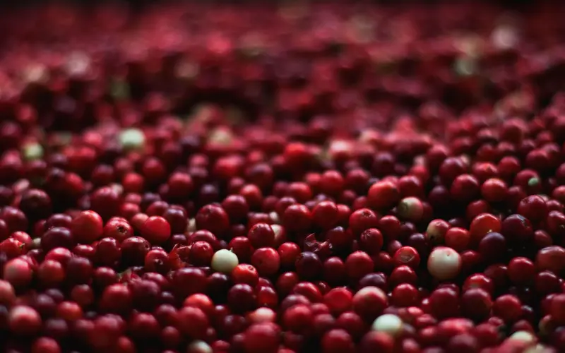 付出越多男人越不珍惜你？那是你没有弄懂付出的姿势