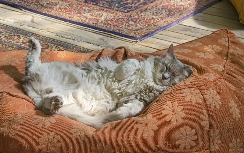 最舒服的关系就是凡事不用猜