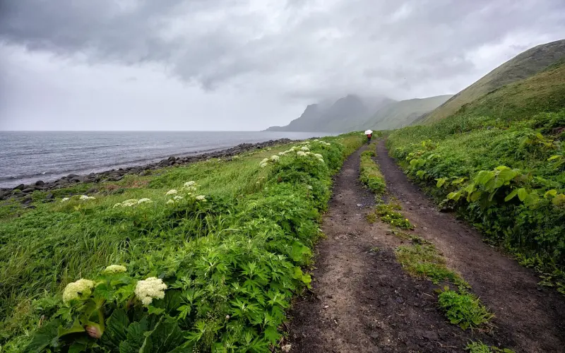 最全“捉奸大全”，看完你就知道他是否出轨！