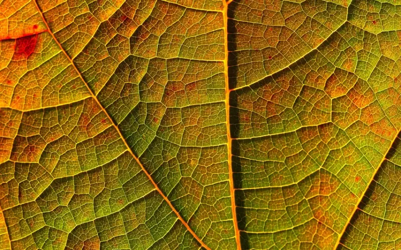 爱情中最危险的一件事