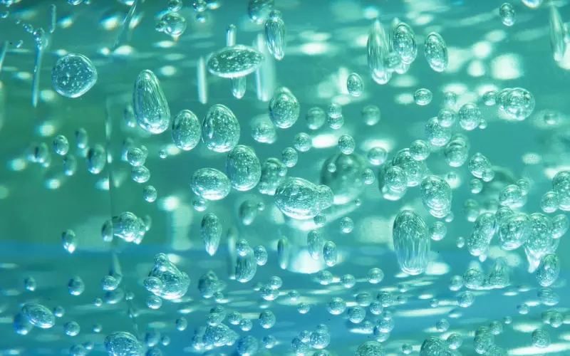 爱情最持久的春药就是这四个字