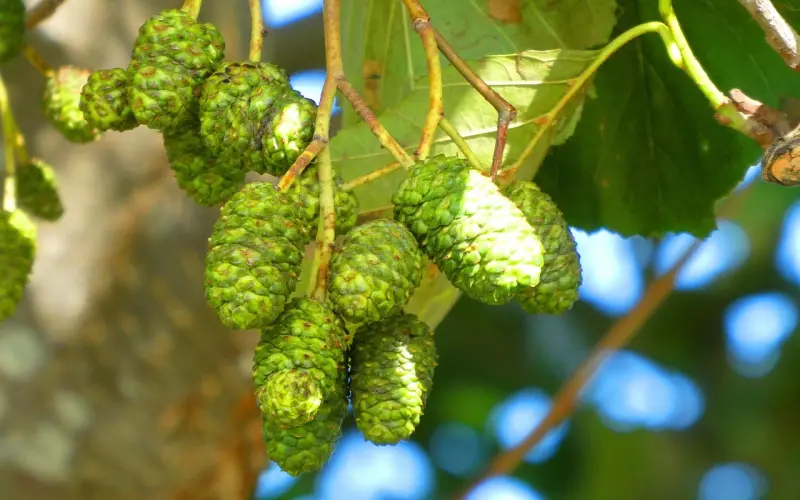 最成熟的爱是尊重对方，让他成长为最好的自己