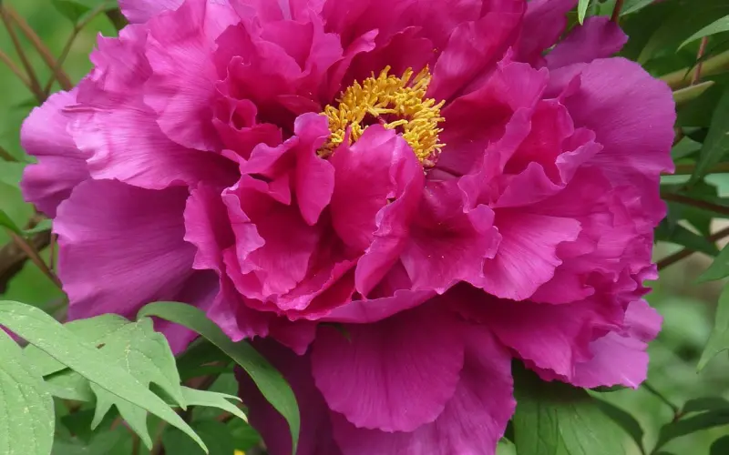 爱情里最遗憾的事