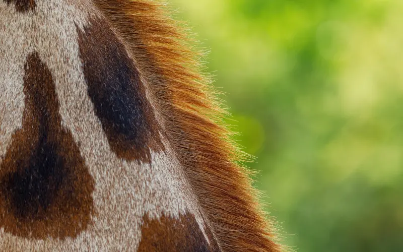 世上最不能将就的事，就是结婚！