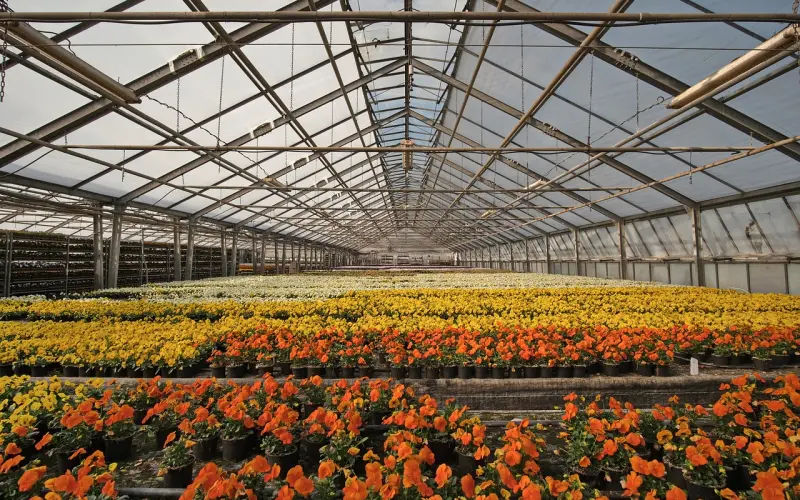 2021女人新标准！你达标了吗？