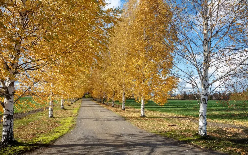 走进MIX的那个夜晚——「全民情敌 · 52章」