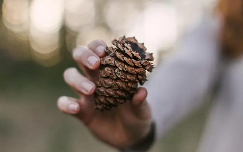 对方父母不同意你们在一起？这里两招轻松帮你解决，让对方父母对你心服口服