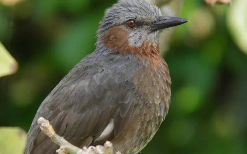 那个主动的人，不想主动了。