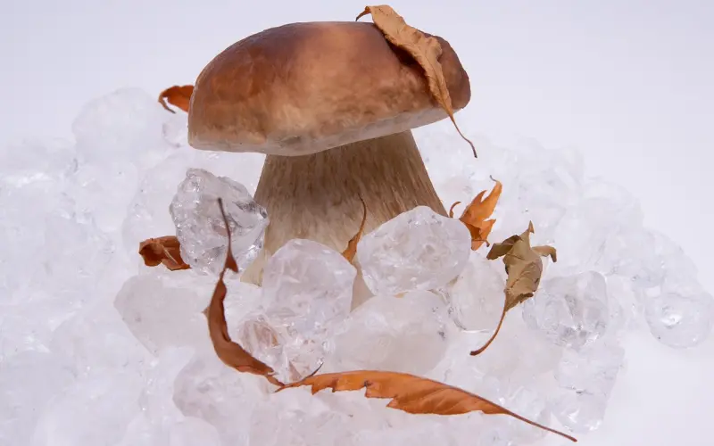 穷渣男们惯用的“欲擒故纵”，是这样的